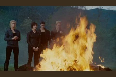 cullens